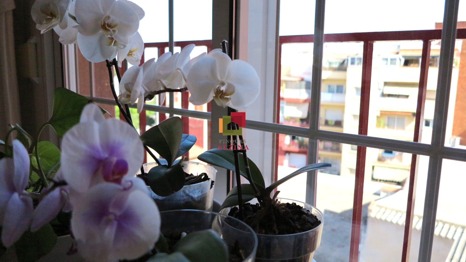 Luz, Espacio y Confort en una Ubicación Privilegiada ✨