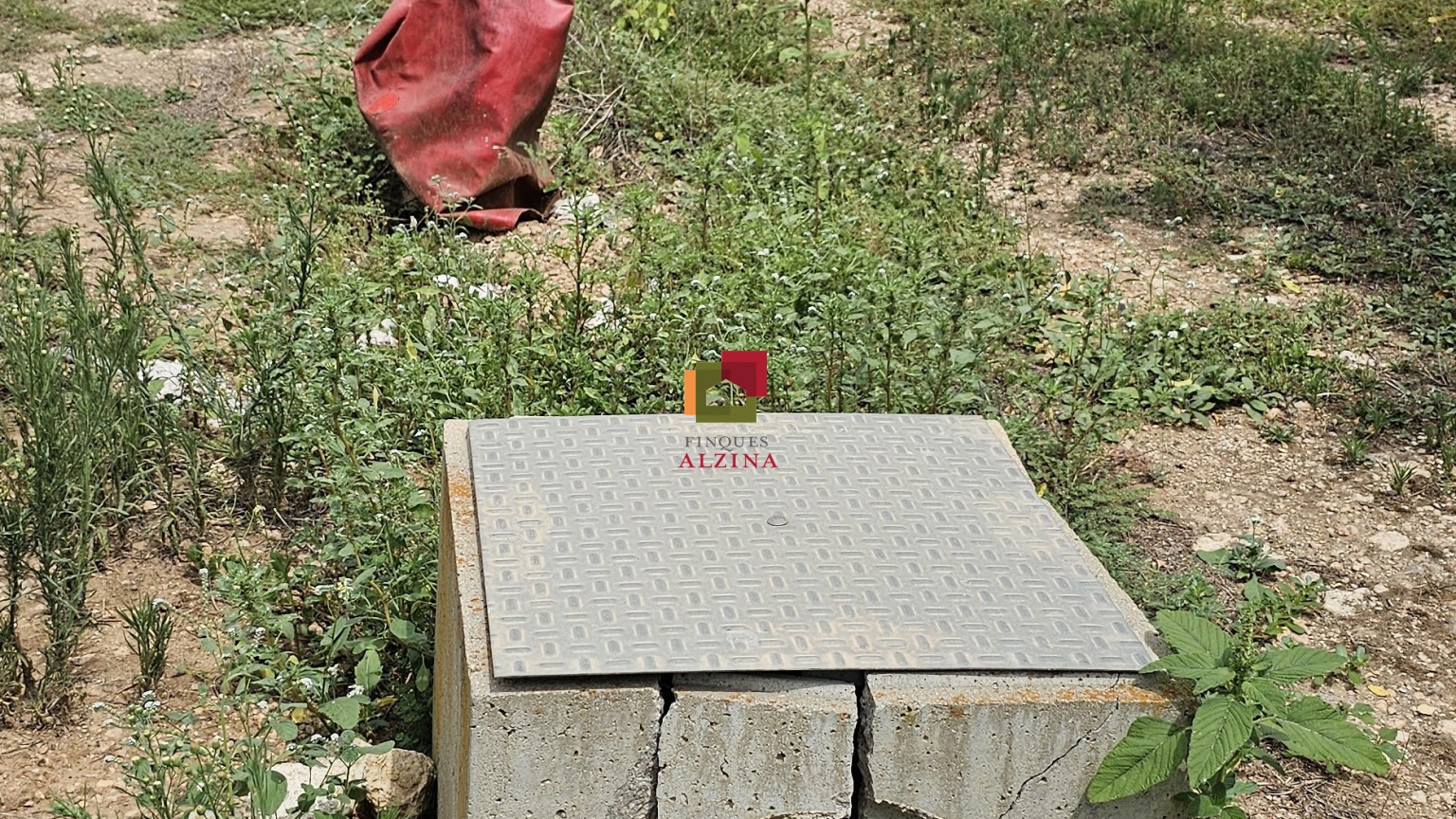 Fincas rústicas de regadío en venta en Ginestar (Móra d’Ebre, Tarragona)