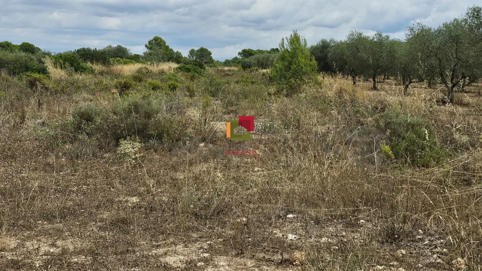 Fincas rústicas de regadío en venta en Ginestar (Móra d’Ebre, Tarragona)