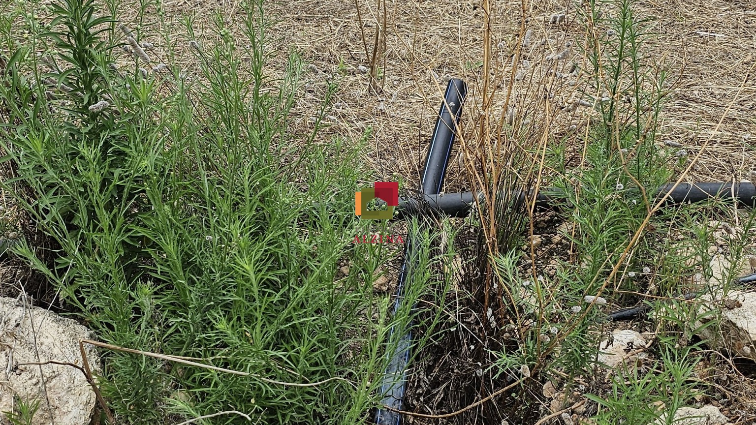 Fincas rústicas de regadío en venta en Ginestar (Móra d’Ebre, Tarragona)