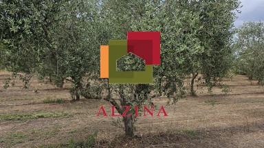 Fincas rústicas de regadío en venta en Ginestar (Móra d’Ebre, Tarragona)