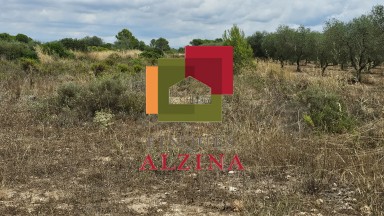 Fincas rústicas de regadío en venta en Ginestar (Móra d’Ebre, Tarragona)