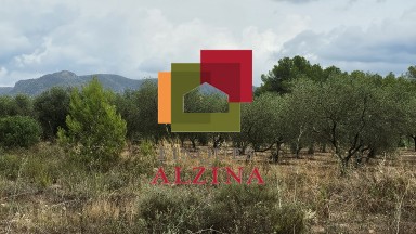 Fincas rústicas de regadío en venta en Ginestar (Móra d’Ebre, Tarragona)