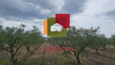 Fincas rústicas de regadío en venta en Ginestar (Móra d’Ebre, Tarragona)