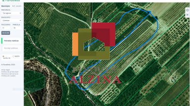 Fincas rústicas de regadío en venta en Ginestar (Móra d’Ebre, Tarragona)