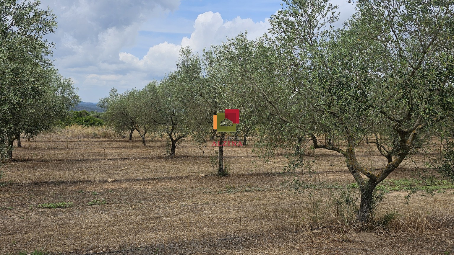FINCA RÚSTICA DE REGADIU