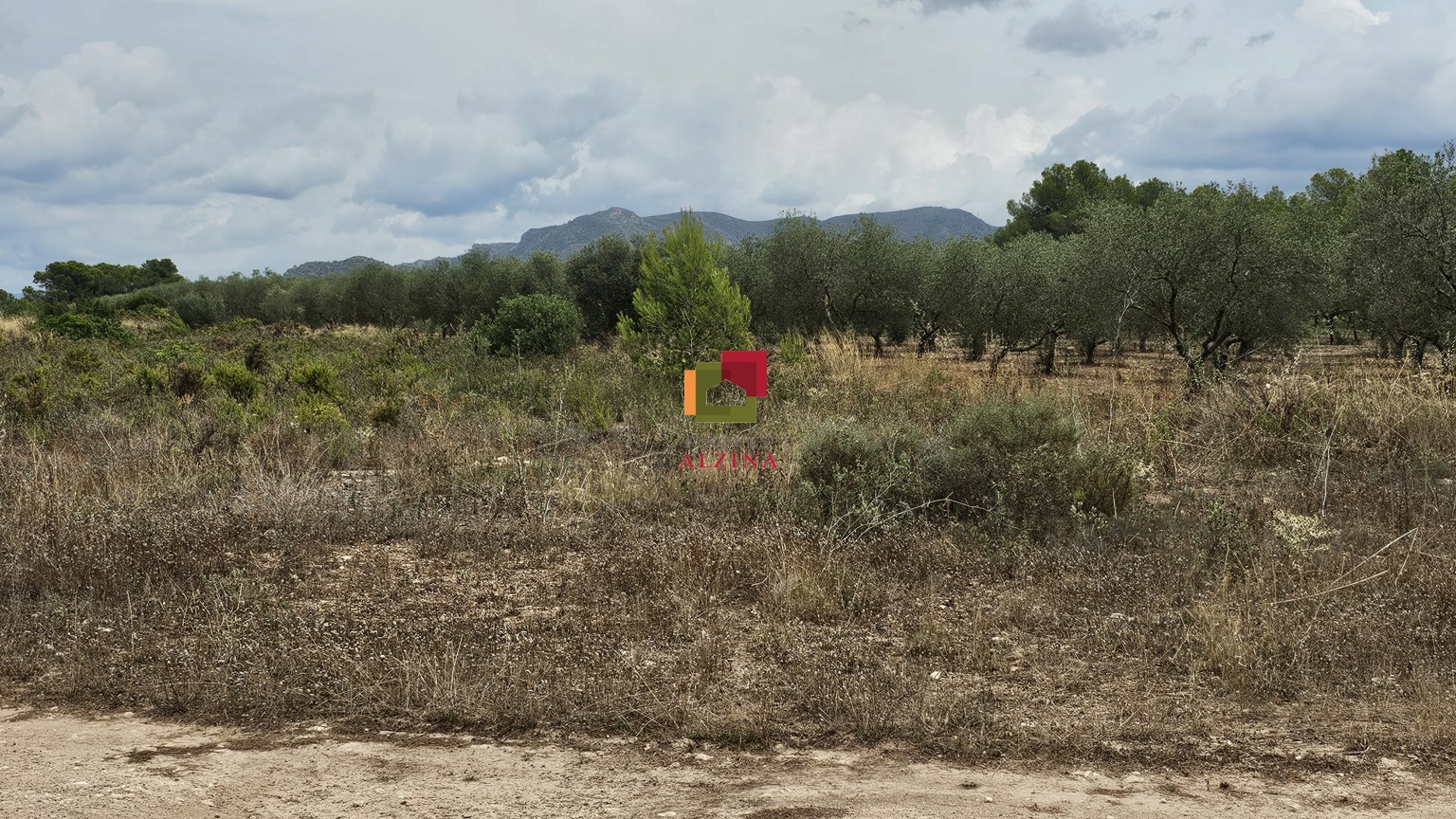FINCA RÚSTICA DE REGADIU