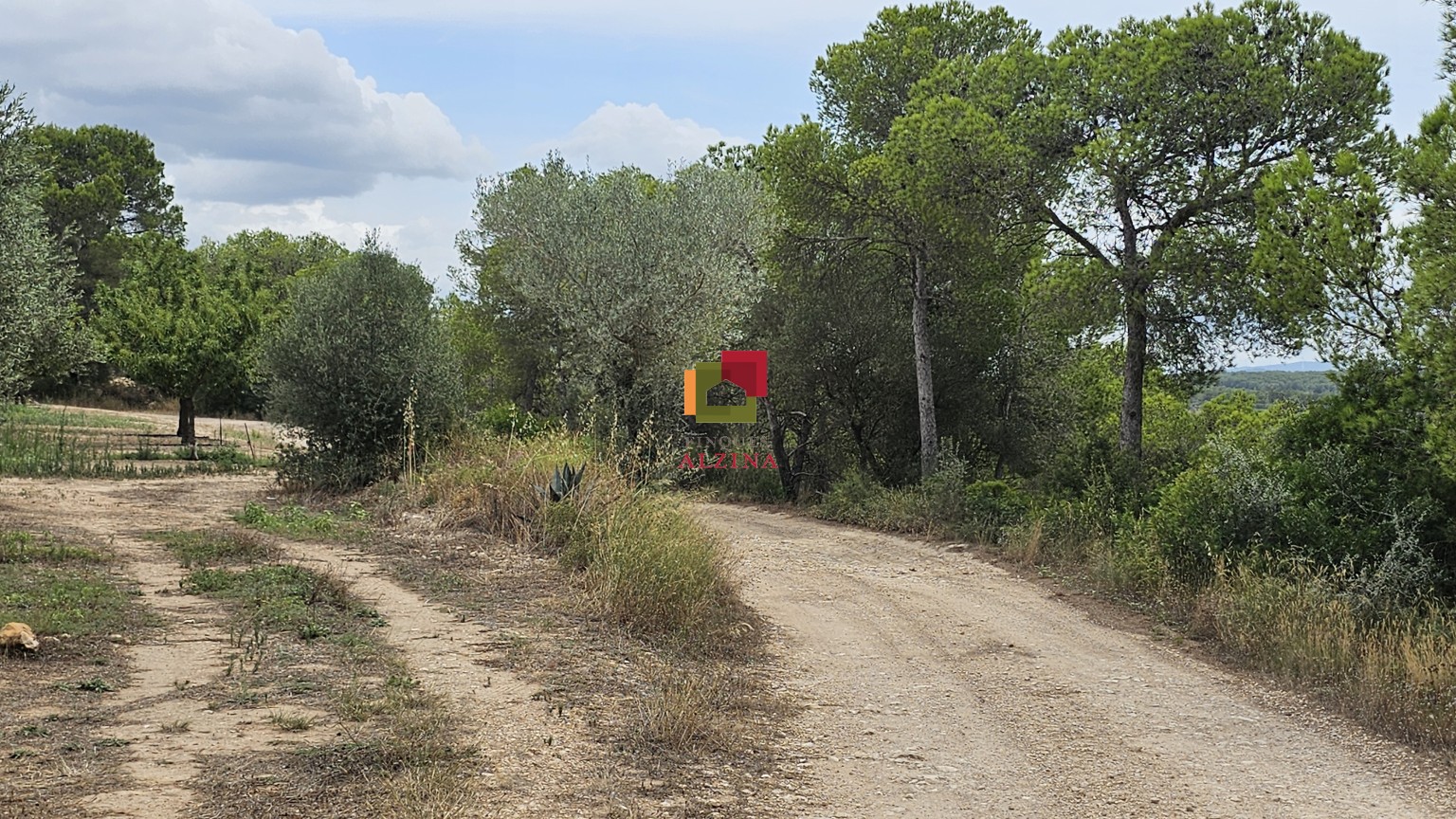 FINCA RÚSTICA DE REGADIU