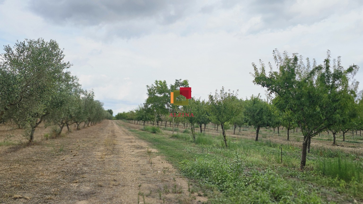 FINCA RÚSTICA DE REGADIU