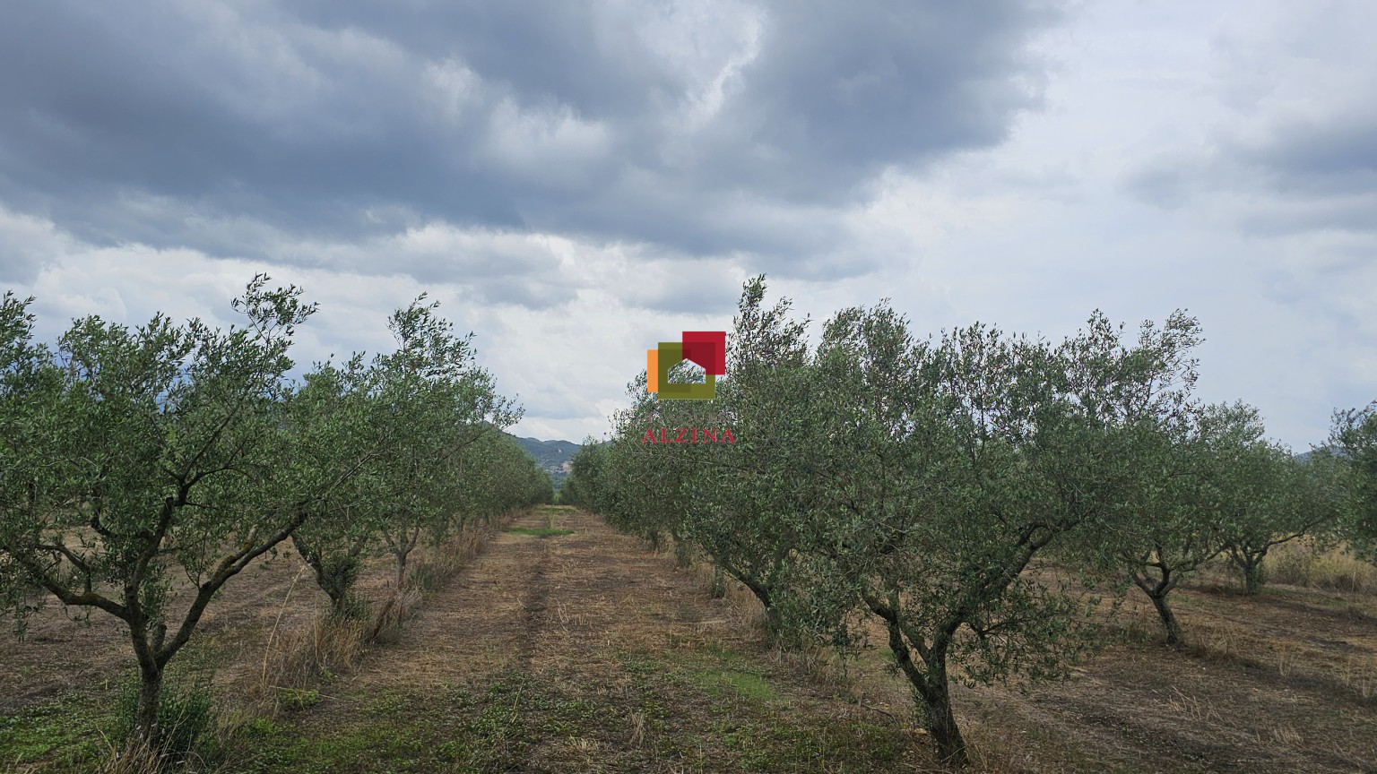 FINCA RÚSTICA DE REGADIU