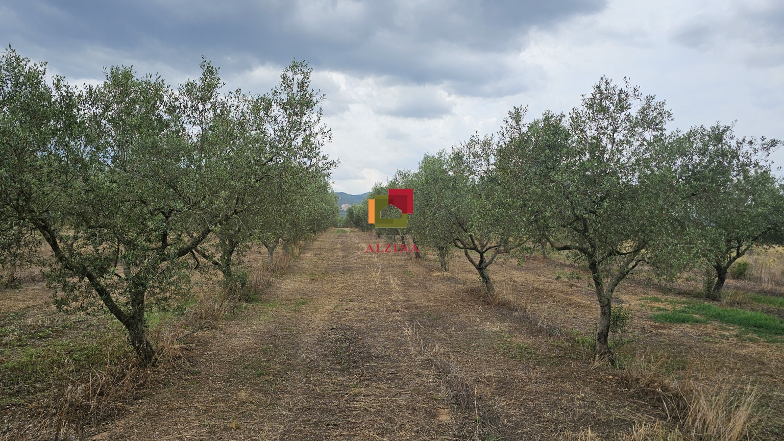 FINCA RÚSTICA DE REGADIU