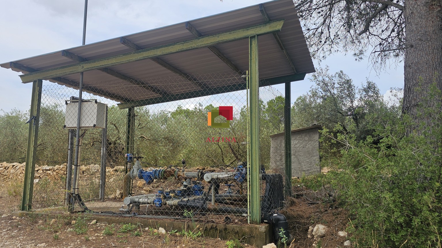 FINCA RÚSTICA DE REGADIU