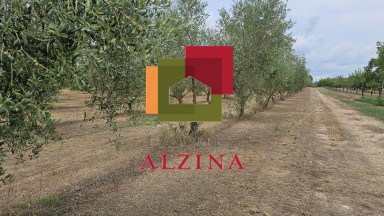FINCA RÚSTICA DE REGADIU