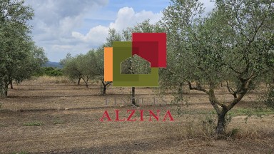 FINCA RÚSTICA DE REGADIU