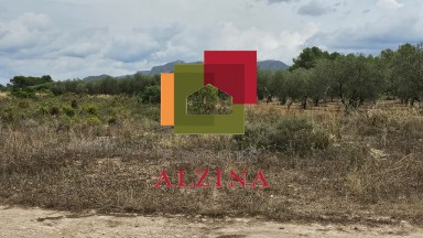 FINCA RÚSTICA DE REGADIU