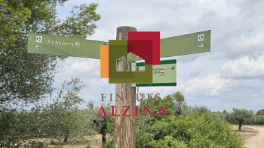 FINCA RÚSTICA DE REGADIU