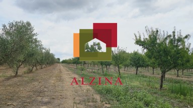 FINCA RÚSTICA DE REGADIU