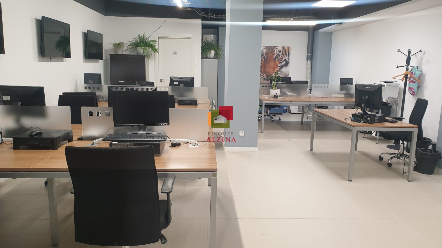 Donde nacen los proyectos grandes – Local premium en Esplugues
