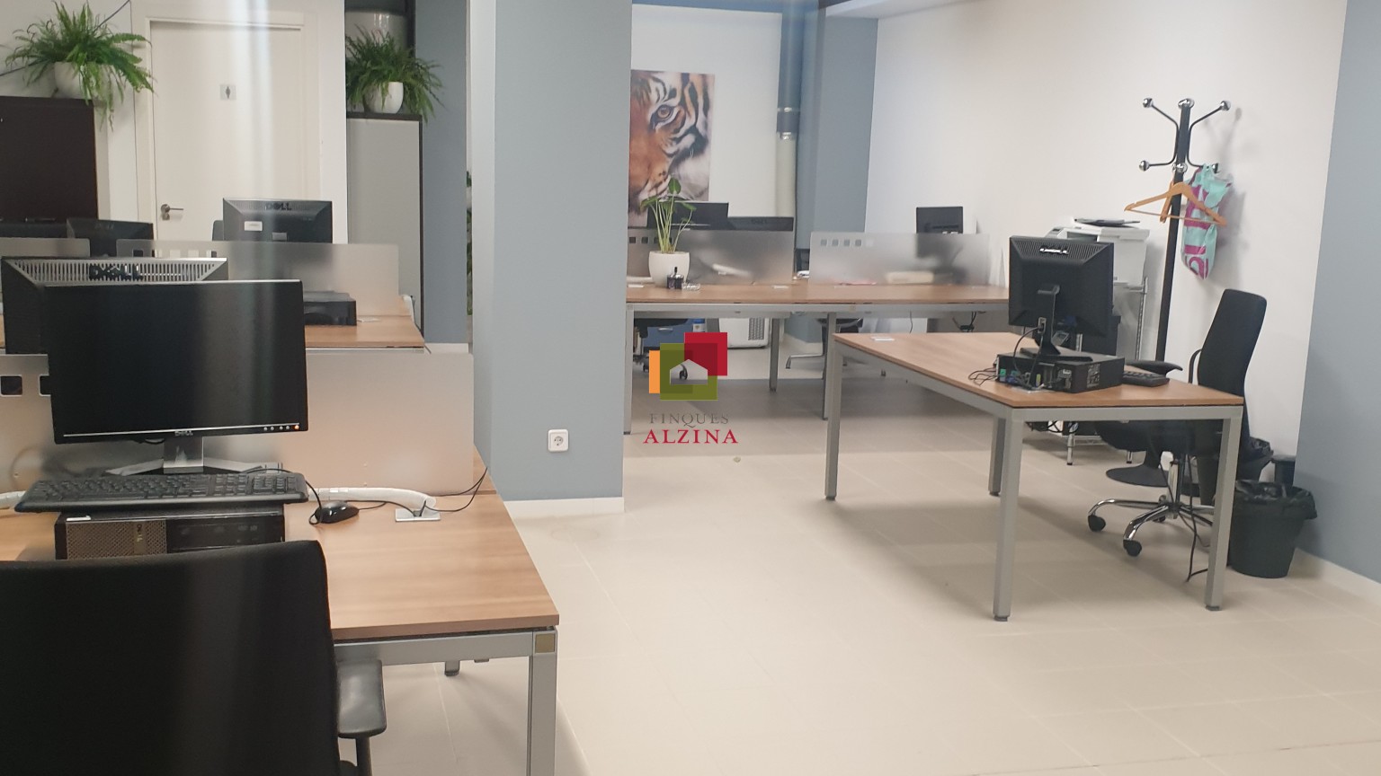 Donde nacen los proyectos grandes – Local premium en Esplugues