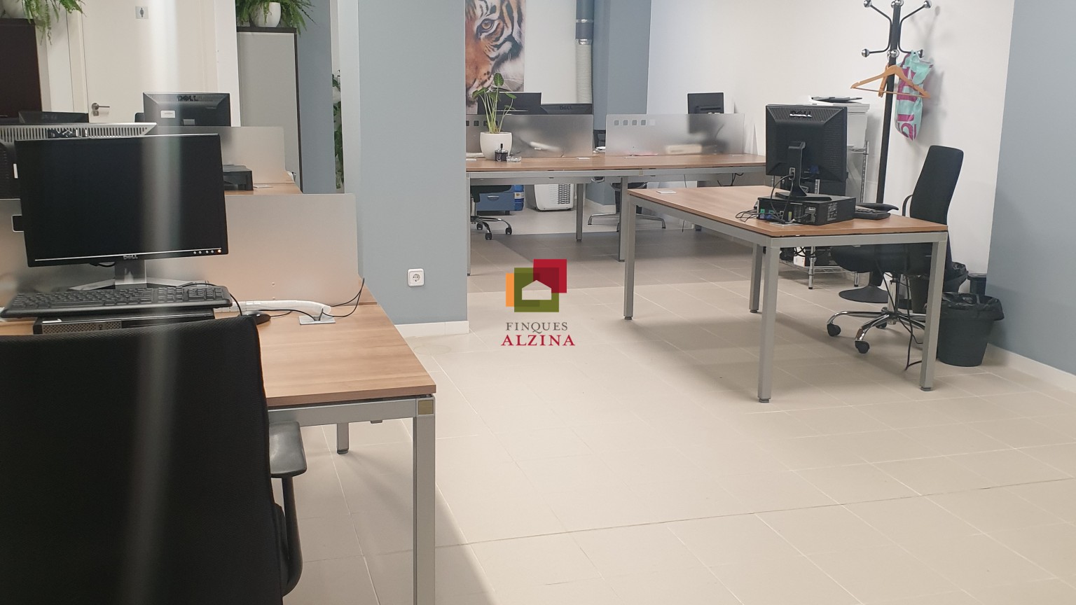 Donde nacen los proyectos grandes – Local premium en Esplugues